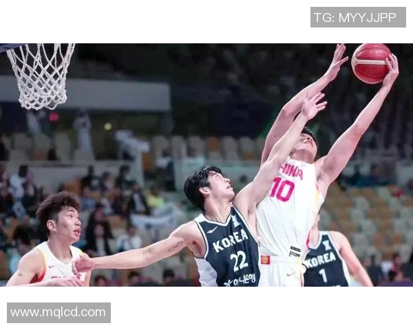 明星与篮球明星的魅力对比图鉴展现不同风格与气质的碰撞与交融
