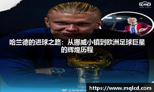 金年会